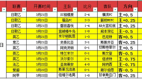 大乐透期号专家推荐质合分析前区十码及比分胜负解析